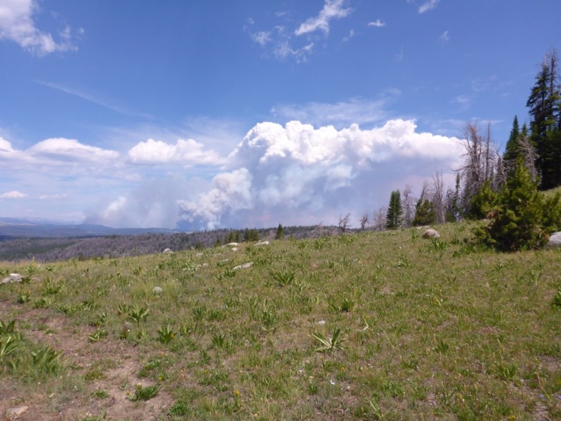 Plumes of smoke could be seen from Gunsight Pass, the Lava Mountain Fire was a massive fire in 2016 and affected the area until the snows arrived in September. 