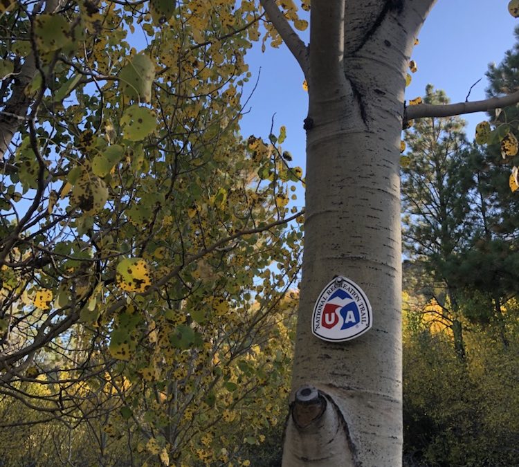 Day 23 Abert Rim, Trees and Trails, Oh My!