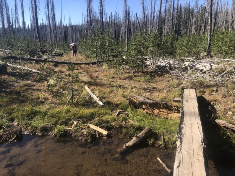 Creek crossing and burned trees near Fish lake